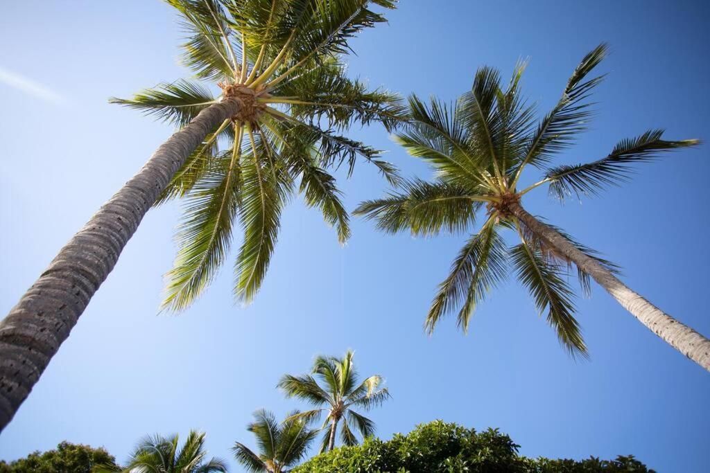 Airlie Sun & Sand Motel Accommodation #4 Airlie Beach Exteriör bild